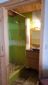 穆特Chez Liadet的绿色浴室设有淋浴和水槽