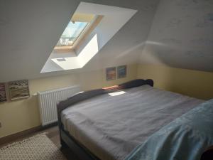 科沃布热格Pokoje na Jasnej的一间卧室配有一张床和天窗