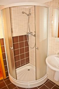 蒂米什瓦拉凡蒂亚酒店的浴室里设有玻璃门淋浴
