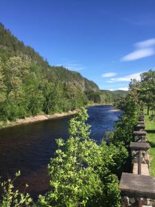 Petit-SaguenayLa Cabane chez Jimmy的从桥上欣赏河流美景