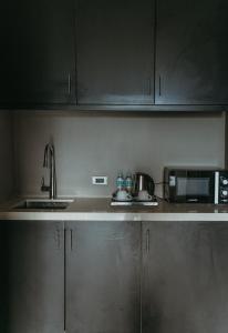 杜马格特PVL套房酒店的厨房配有不锈钢橱柜和微波炉