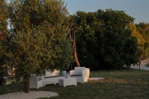奥斯图尼马塞里亚贝内代迪公寓的一座公园,里面设有白色长凳和两棵树