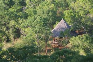 KisakiSable Mountain Lodge, A Tent with a View Safaris的树林中间的房子