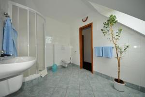 普拉克缇克克鲁姆洛夫旅馆的一间浴室