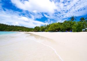 拉查亚伊岛拉查岛度假酒店（瑞阿布瑞）的海滩上拥有白色的沙滩和棕榈树