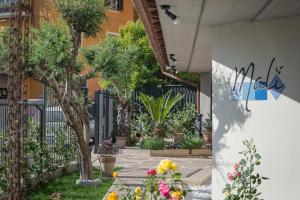特雷维尼亚诺罗马诺Malì Trevignano Piccolo Hotel的庭院里种有盆栽植物,设有围栏