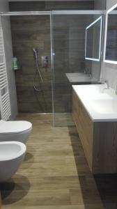 奥蒂塞伊迪加尔特公寓的带淋浴、卫生间和盥洗盆的浴室