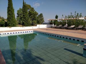 查兹拉德拉谢拉拉斯维加斯纳韦苏艾拉斯酒店的庭院内的游泳池,带椅子和树木