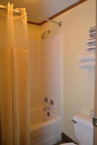 马歇尔Arbor Inn of Historic Marshall的带淋浴和浴帘的浴室
