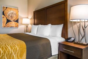 瓦尔多斯塔Comfort Inn & Suites Valdosta的酒店客房配有一张床和电话