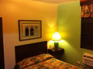圣胡安伊比利亚半岛酒店 - 圣胡安的一间卧室配有一张床和一张桌子上的台灯