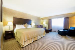 布兰登维多利亚酒店及布兰登会议中心的酒店客房带一张大床和一把椅子
