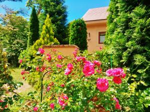 那须町拉波特罗纳芳香花园别墅的一座花园,在房子前面有粉红色玫瑰