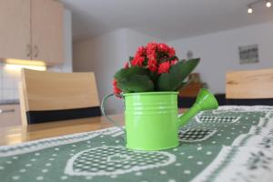 萨斯阿尔马格尔Haus Mondelli的绿水罐,桌子上放着红色花