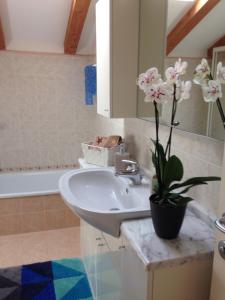 阿科Casa Gianna的一间带水槽和盆栽植物的浴室