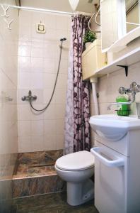 里耶卡Trsatika的浴室配有卫生间、盥洗盆和淋浴。