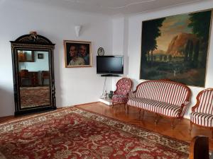锡比乌桑提诺公寓的客厅配有2把椅子和平面电视