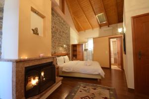 阿拉霍瓦帕纳索斯酒店的一间卧室配有一张床和一个壁炉。