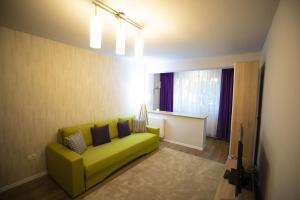蒂米什瓦拉SMP apartment 3的客厅设有绿色沙发和窗户。