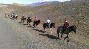 Reykjarholl吉姆波宾馆的一群骑马的人在土路下骑着