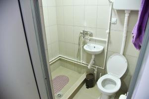 尼什PRENOĆIŠTE PILOT的一间带卫生间和水槽的小浴室