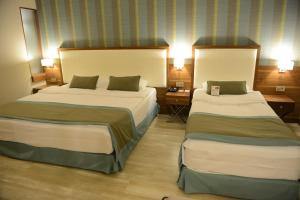 阿达纳阿达纳假日酒店 的酒店客房配有两张床和一张书桌