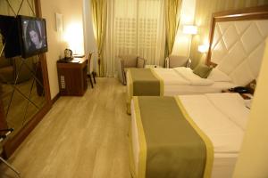 阿达纳阿达纳假日酒店 的酒店客房设有两张床和一台平面电视。