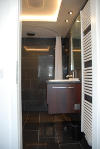 黑尔戈兰岛Dünenblick Apartments的一间带水槽和淋浴的浴室