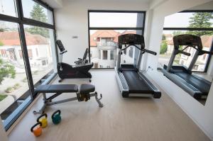 查科韦茨Hotel Castellum的健身房设有3台跑步机和3扇窗户