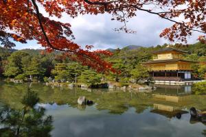 京都京都R星旅馆的湖中一座中国建筑