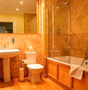 塔博雷威灵顿豪尔酒店的浴室配有卫生间、淋浴和盥洗盆。