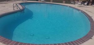 圣安东尼奥Econo Inn Lackland AFB-Seaworld San Antonio的蓝色海水大型游泳池
