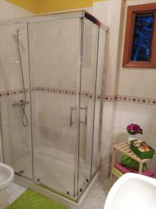 圣地亚哥海滩拉班达公寓的浴室里设有玻璃门淋浴
