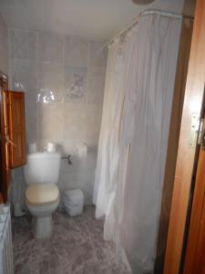 Linares de MoraHostal El Portalico的一间带卫生间和淋浴帘的浴室