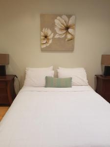 华纳海湾Tantarra Bed & Breakfast的一张带两个枕头的白色床和墙上的绘画