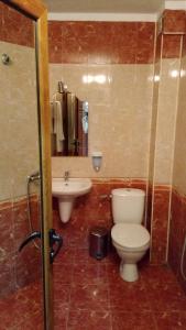 桑丹斯基Motel Elegance的一间带卫生间和水槽的浴室