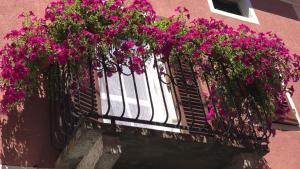 韦尔切利La Casa del Colonnello的粉红色建筑中带粉红色花的阳台