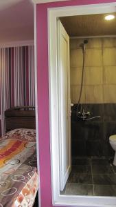 乌树故里Ushguli Panorama Guest House的客房设有带一张床和淋浴的浴室。