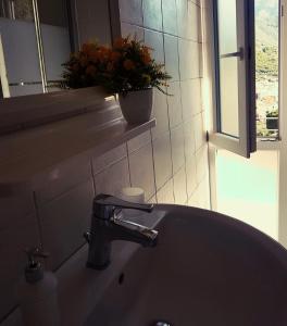 Casola di Napoli伊尔里弗吉奥苏德格尔非公寓的浴室水槽、盆栽和窗户