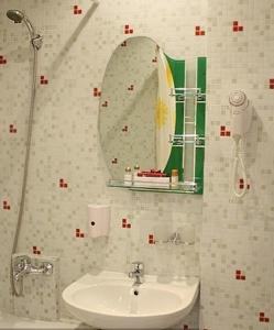 巴尔瑙尔亚历山大之家酒店的一间带水槽和镜子的浴室