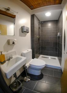 西沃德Seward Adventure Lodge的浴室配有卫生间、盥洗盆和淋浴。