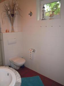 Ferienhaus am Fleesensee的一间浴室