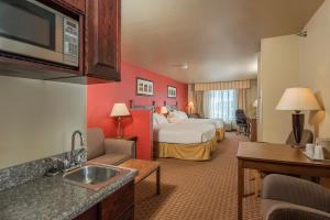斯特吉斯斯特吉斯智选假日酒店&套房的酒店客房设有一间带一张床和水槽的卧室