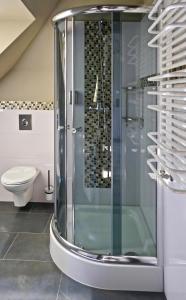 汉堡Merite Hotels Hamburg Altona GmbH的一间带卫生间的浴室内的玻璃淋浴间