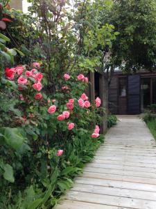 格朗维尔5 rue de la Corderie的一个带粉红色玫瑰和木走道的花园