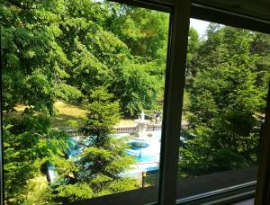 布加勒斯特河拉斯特劳酒店的从窗户可欣赏到游泳池的景色