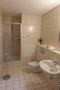 TriebesGoldener Löwe Triebes的浴室配有卫生间、淋浴和盥洗盆。