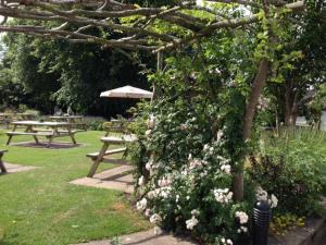 南特威奇The Swan Inn的公园里种满鲜花的灌木丛,野餐桌