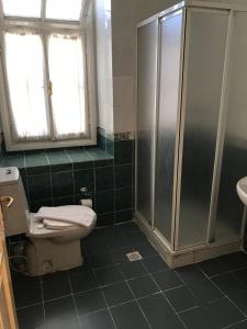 切什梅安提克里德凡酒店的带淋浴、卫生间和盥洗盆的浴室