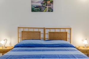 费尔莱恩Appartamento Anna的一间卧室配有一张带两盏灯的蓝色床。